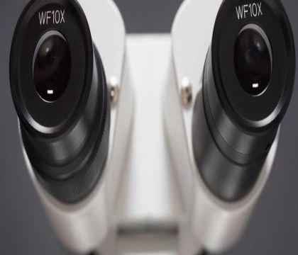 材料化學表征（可瀝濾物研究）