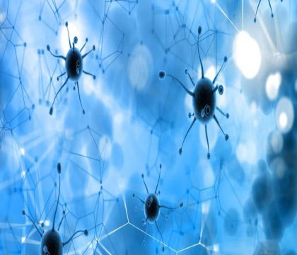 酵母細胞表達系統