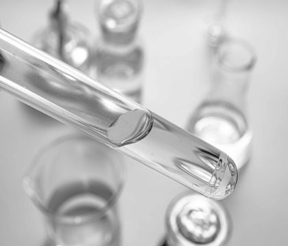 抗體純化及修飾服務