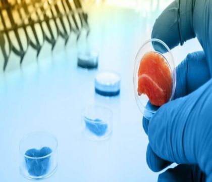 噬菌體平臺服務定制